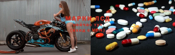 PSILOCYBIN Заволжье