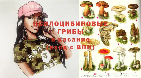 PSILOCYBIN Заволжье