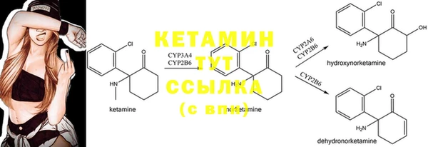амф Заводоуковск