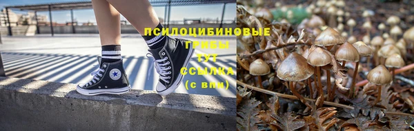 амф Заводоуковск