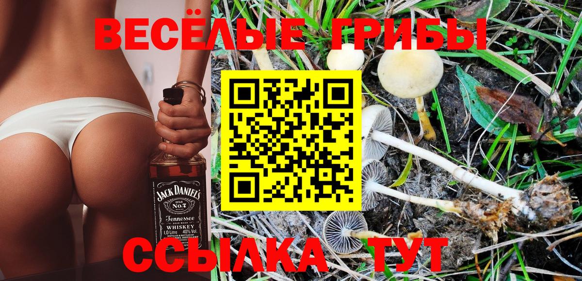 Псилоцибиновые грибы Psilocybe Екатеринбург
