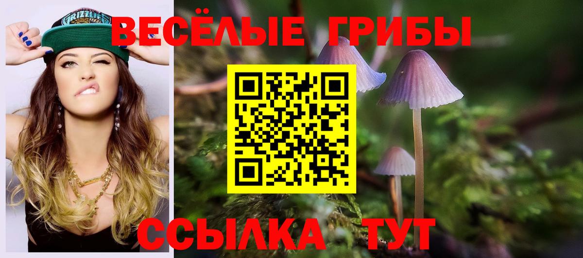 Галлюциногенные грибы Psilocybine cubensis  наркотики  Псилоцибиновые грибы MAGIC MUSHROOMS  Екатеринбург 